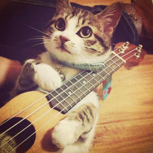 聂小雨与黑人大战视屏
